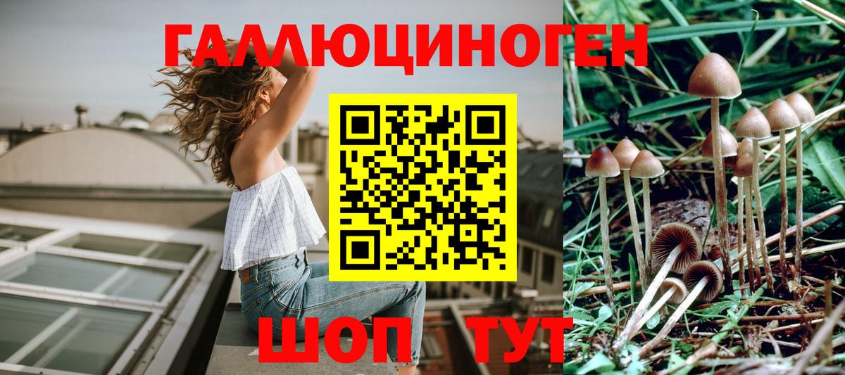 Симферополь  Галлюциногенные грибы мухоморы  Вход с VPN  Псилоцибиновые грибы MAGIC MUSHROOMS 